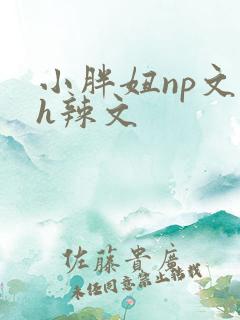 小胖妞np文高h辣文 小胖妞np文高h辣文