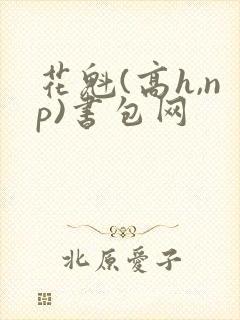 花魁(高h,np)书包网