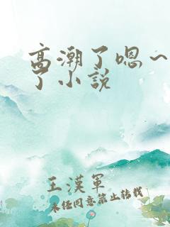 高潮了嗯～喷水了小说