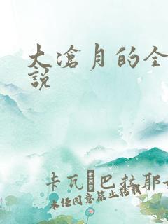 大沧月的全部小说