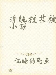 清纯校花被玩弄小说