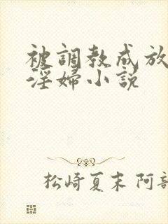 被调教成放荡小淫妇小说