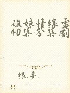 姐妹情缘电视剧40集分集剧情介绍
