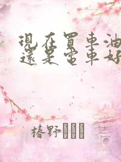 现在买车油车好还是电车好,还是混动好