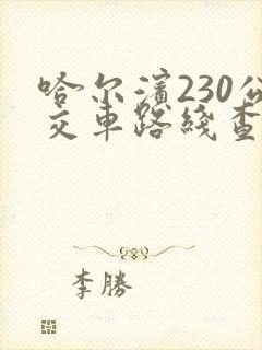 哈尔滨230公交车路线查询查