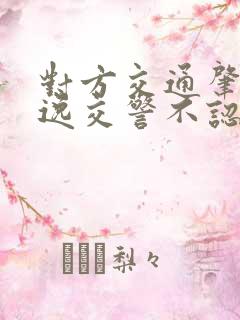 对方交通肇事逃逸交警不认定怎么办