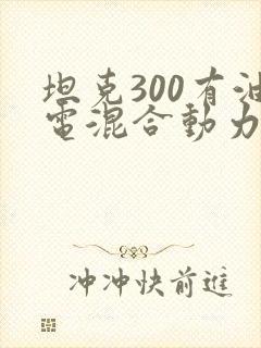 坦克300有油电混合动力