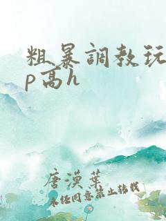 粗暴调教玩弄np高h