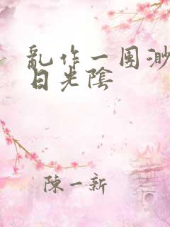 乱作一团渺渺长日光阴