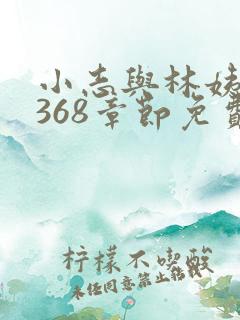 小志与林姨小说368章节免费阅读