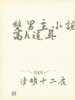 双男主小说np高h道具