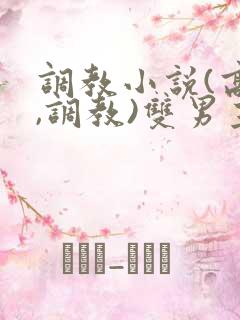 调教小说(高h,调教)双男主
