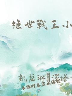 绝世战王小说