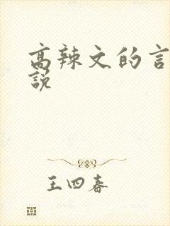 高辣文的言情小说