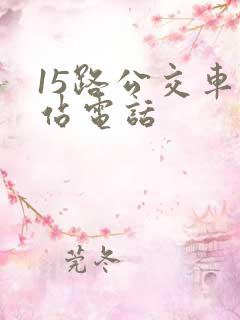 15路公交车总站电话