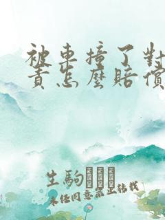 被车撞了对方次责怎么赔偿