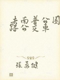 去南普公园坐几路公交车