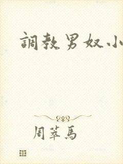 调教男奴小说h