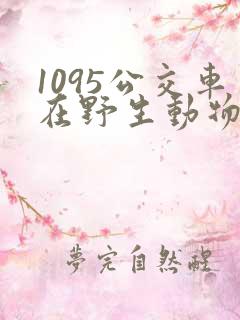 1095公交车在野生动物园停靠时间表