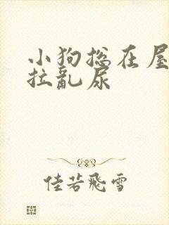 小狗总在屋里乱拉乱尿