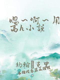 嗯～啊～用力～高h小说