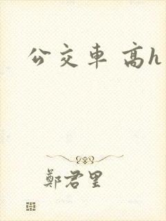 公交车 高h
