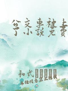 公交车被上高潮了小说免费阅读