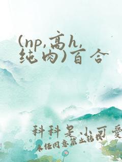 (np,高h,纯肉)百合