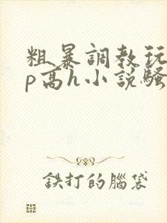 粗暴调教玩弄np高h小说骚受