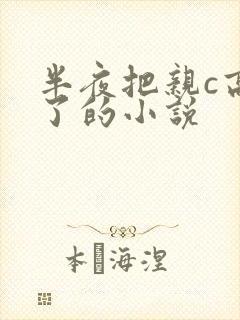 半夜把亲c高潮了的小说
