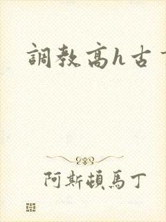 调教高h古言