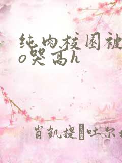 纯肉校园被cao哭高h