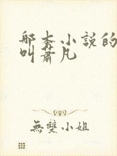 哪本小说的主角叫萧凡