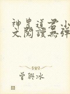 神农道君小说全文阅读无弹窗