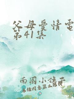 父母爱情电视剧第41集