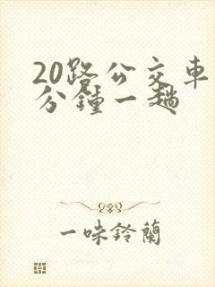 20路公交车几分钟一趟