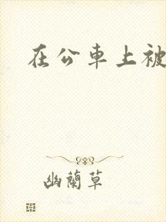 在公车上被摸