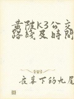 黄陂k3公交车路线及时间表