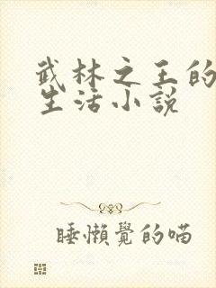 武林之王的退隐生活小说