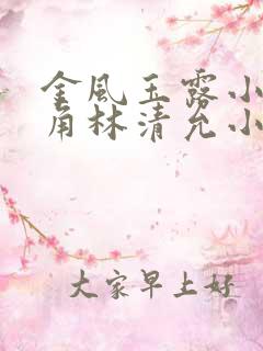 金风玉露小说主角林清允小诚