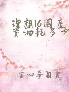 理想l6国产真实油耗多少