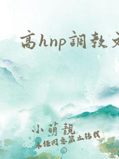 高hnp调教文