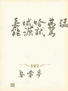 长城哈弗猛龙新能源试驾