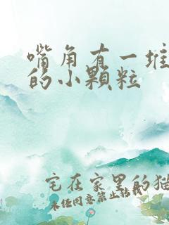 嘴角有一堆白色的小颗粒 嘴角有一堆白色的小颗粒