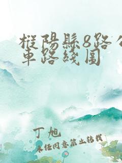 枞阳县8路公交车路线图