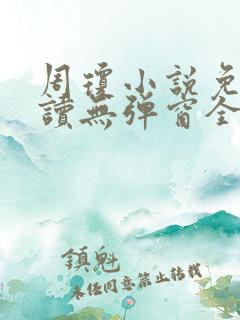 周琼小说免费阅读无弹窗全文阅读