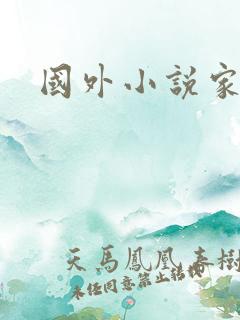 国外小说家