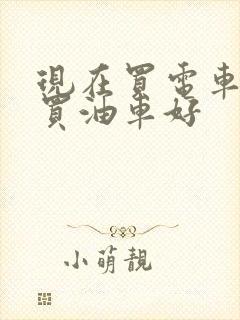 现在买电车还是买油车好
