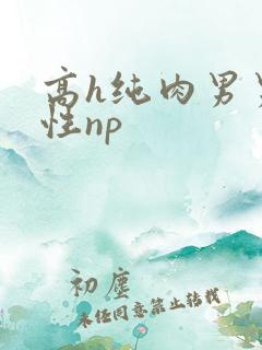 高h纯肉男男双性np