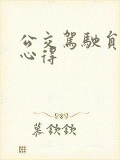 公交驾驶员安全心得